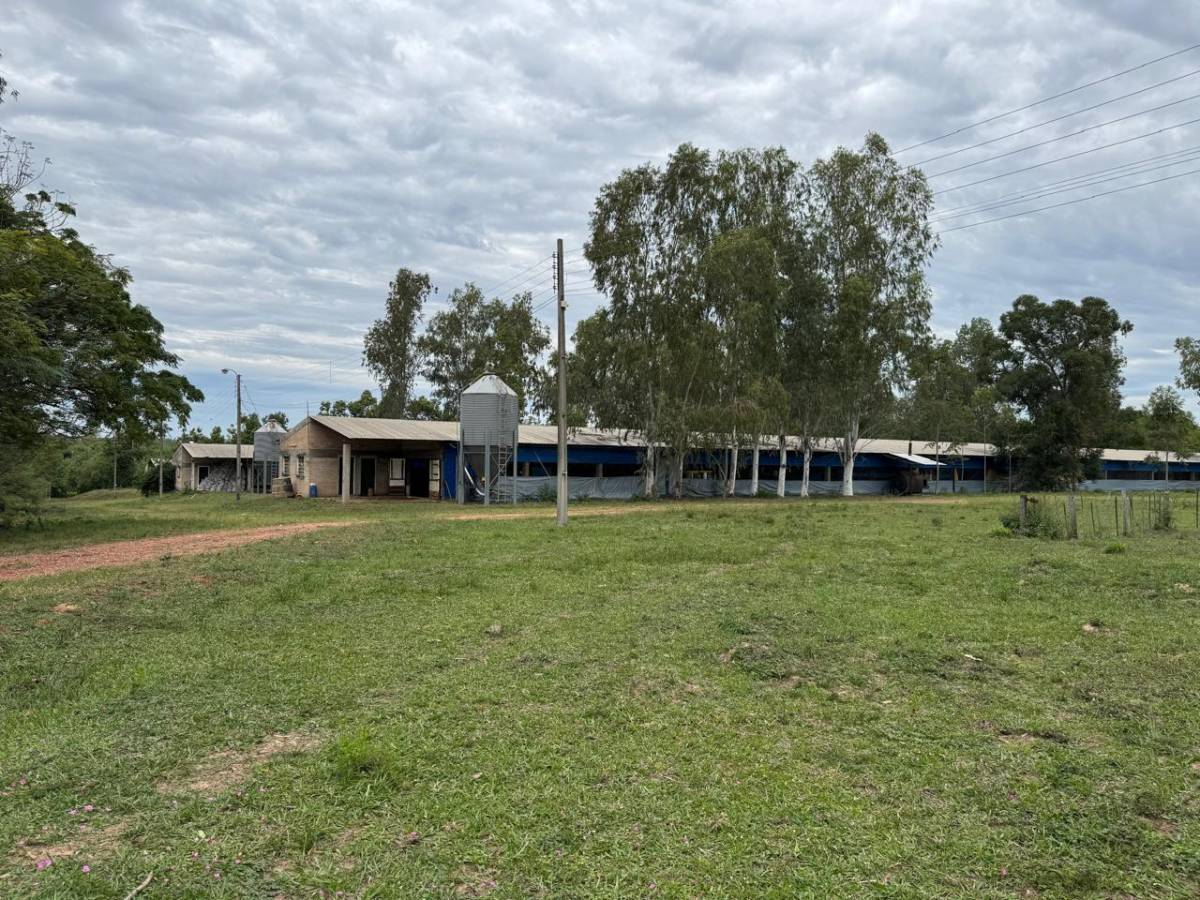 24 HECTÁREAS EN ISLA BOGADO - LUQUE — foto 2
