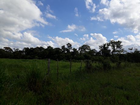 Terreno En Venta G77