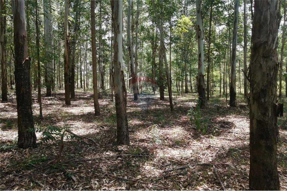 VENDO CAMPO ZONA CAMBYRETA CENTRO — foto 3