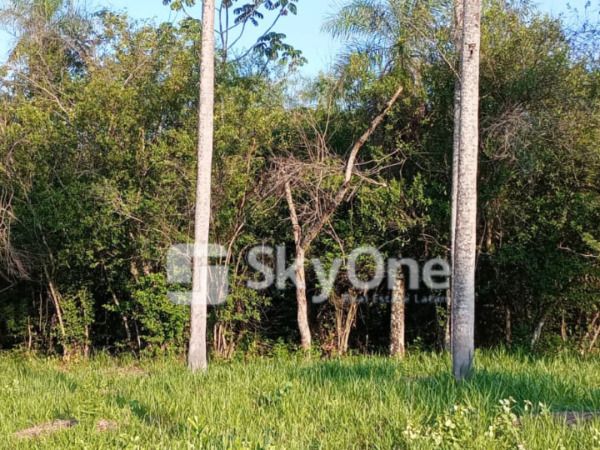 Vendo hermosa propiedad en el límite entre San Bernardino y Nueva Colombia — foto 2