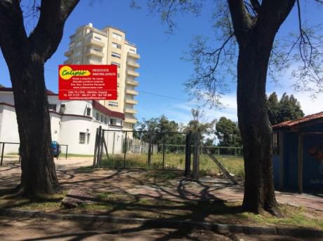 Alquiler De Kiosco Con Estacionamiento-inmobiliaria Calipso