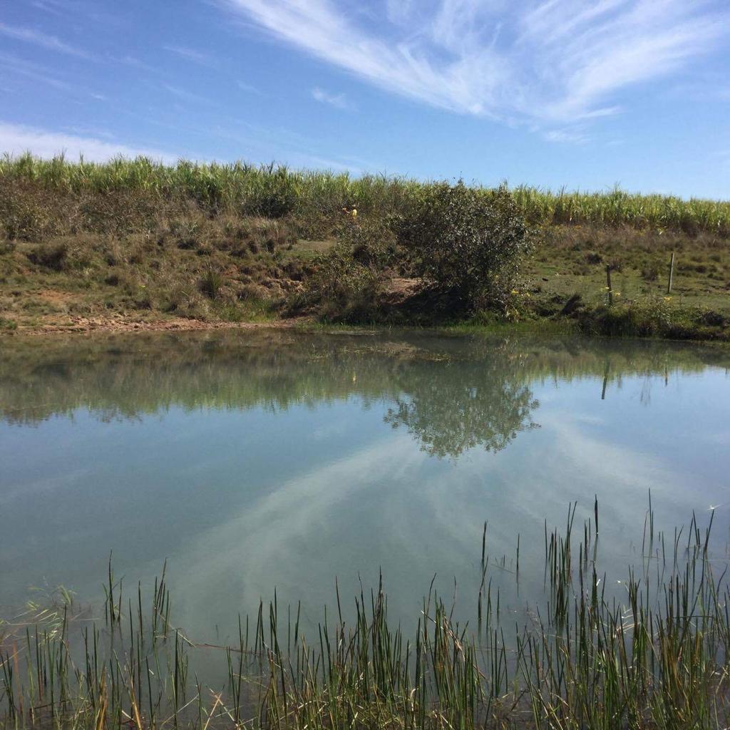 VENTA DE CAMPO EN YBYCUI — foto 2