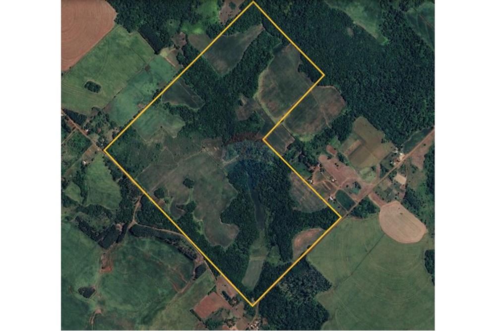 Finca Agrícola de 76 hectáreas -  Fram - ITAPUA — foto 3