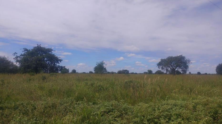 Vendo Estancia de 13.500 has Zona Infante Rivarola, Boquerón-CLLA4969762 — foto 2