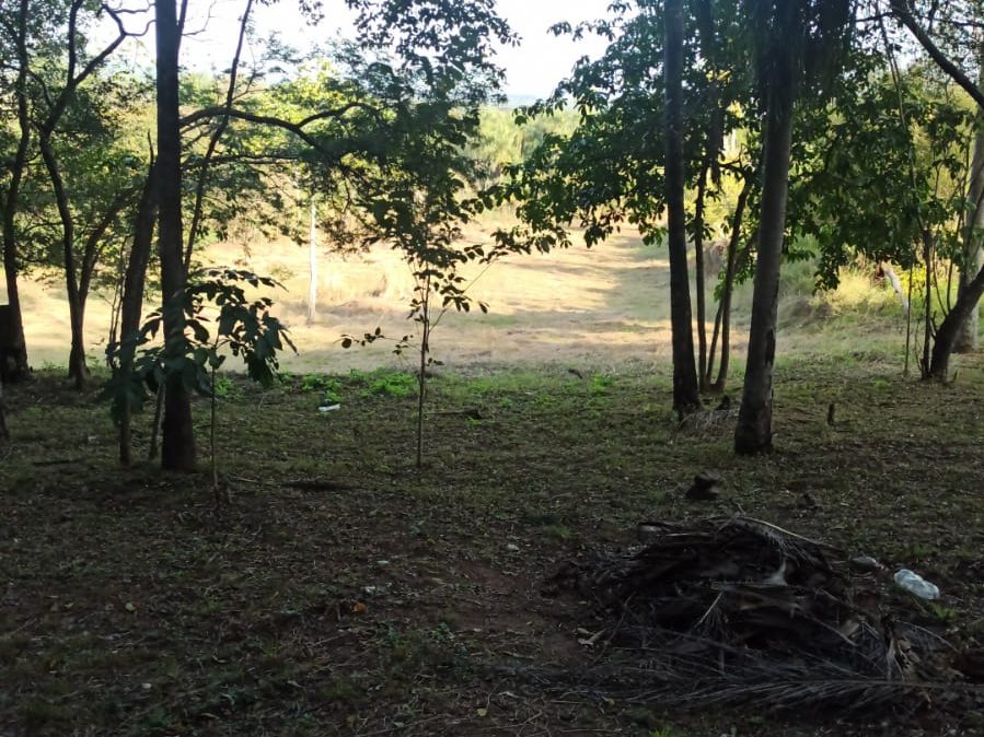 Terreno en venta en San Bernardino — foto 3