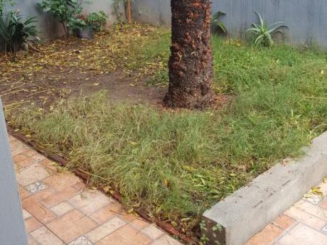 Vendo Casa Tres Dormitorios Con Cochera 4 Autos