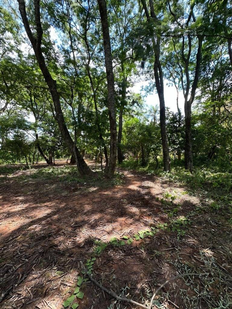 Terreno de 10.780 m² zona Sur | Fernando de la Mora — foto 2