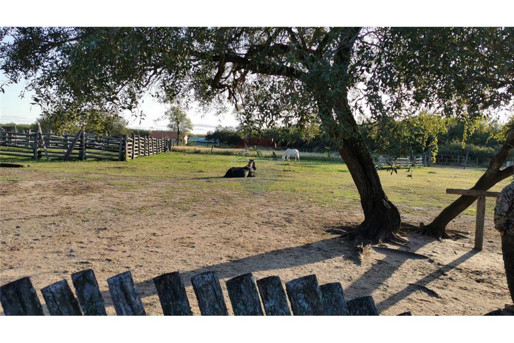 Venta - Estancia - Presidente Hayes — foto 2
