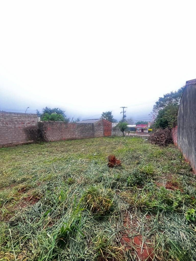 VENDO LOTE EN Villa Elisa, Central — foto 2