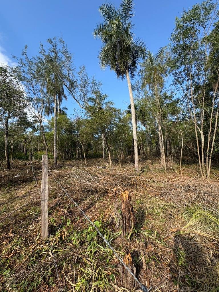 Terreno en Zona Anfiteatro – San Bernardino. Lote 21 — foto 3