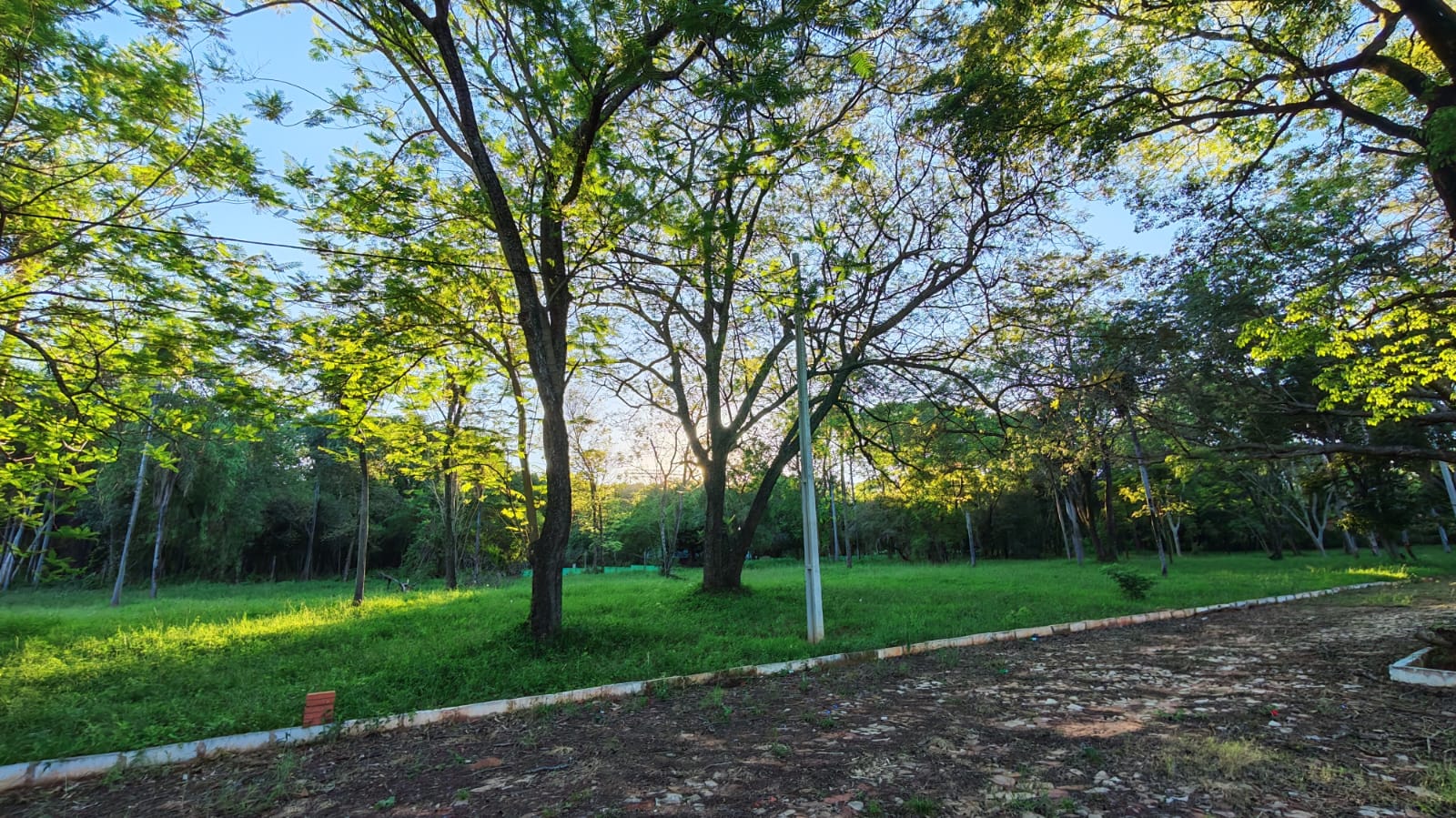 Amplio Terreno — foto 2