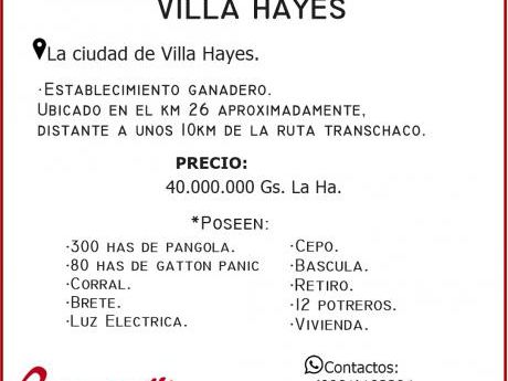 Vendo 600 Has En Villa Hayes.