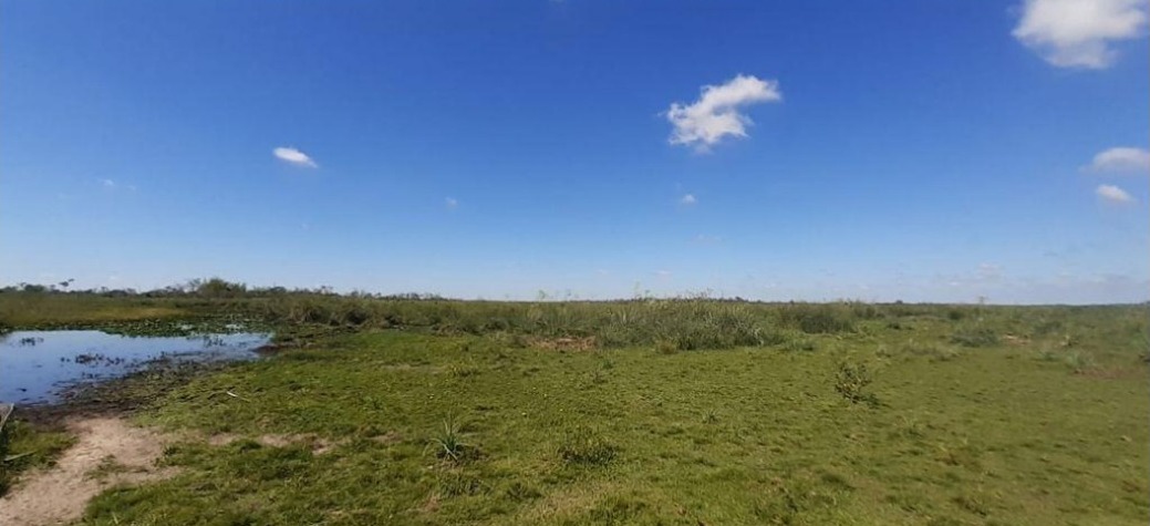 Vendo Campo Natural de 20.568 Hectáreas en Guazú Cua, Ñeembucú - CLCS6469309 — foto 2