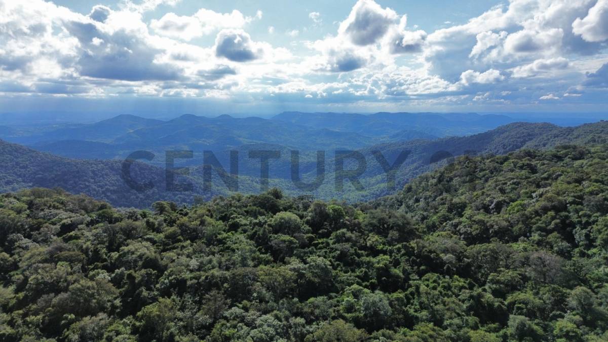 EN VENTA – Cerro Tres Kandú | 1.013 Hectáreas En El Punto Más Alto Del Paraguay — foto 2