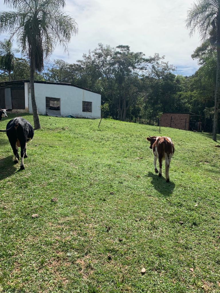 VENDO HERMOSA PROPIEDAD CON ARROYO DE 67 HAS EN ESCOBAR — Foto 2