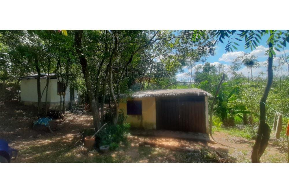 VENDO 11 HECTAREAS EN ALTOS DE PURA VEGETACION — foto 3