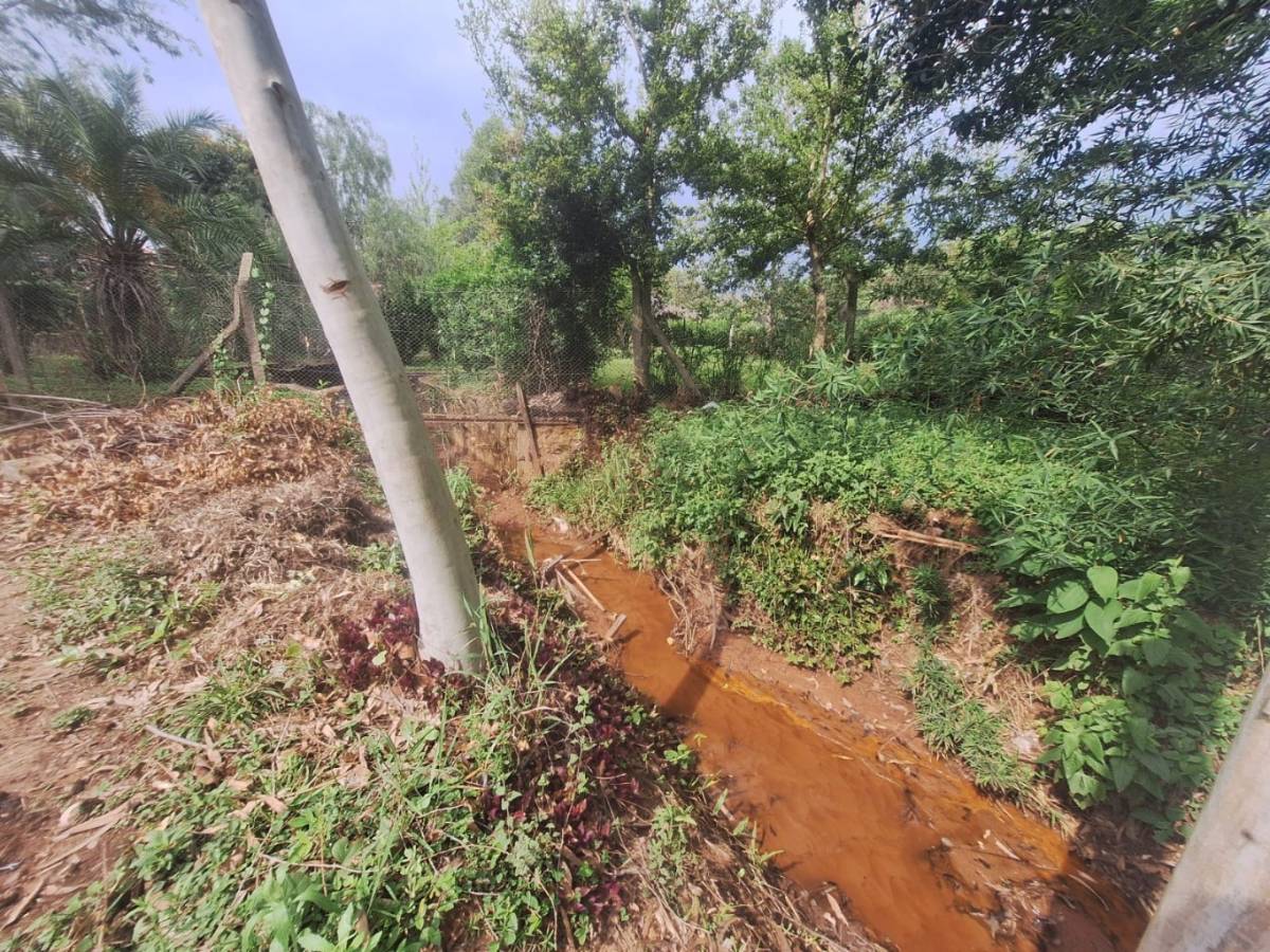 Vendo amplio terreno en Caacupe — foto 3