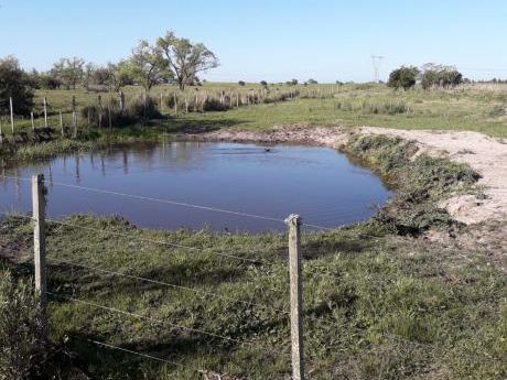 Chacra En Venta En Los Cerrillos