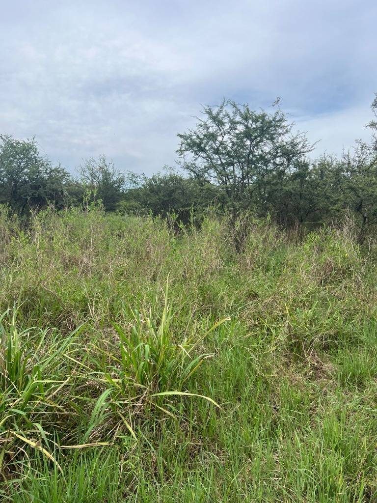 VENDO TERRENO EN URBANIZACION SURUBI I 2 — foto 3