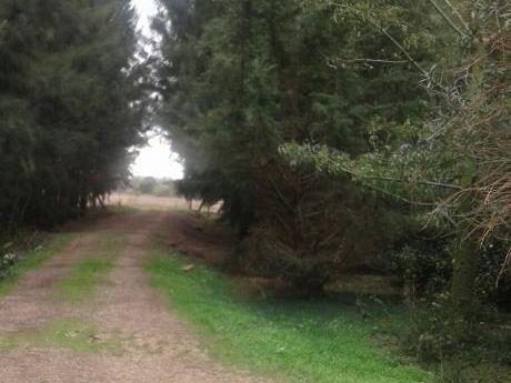 Espectacular Chacra