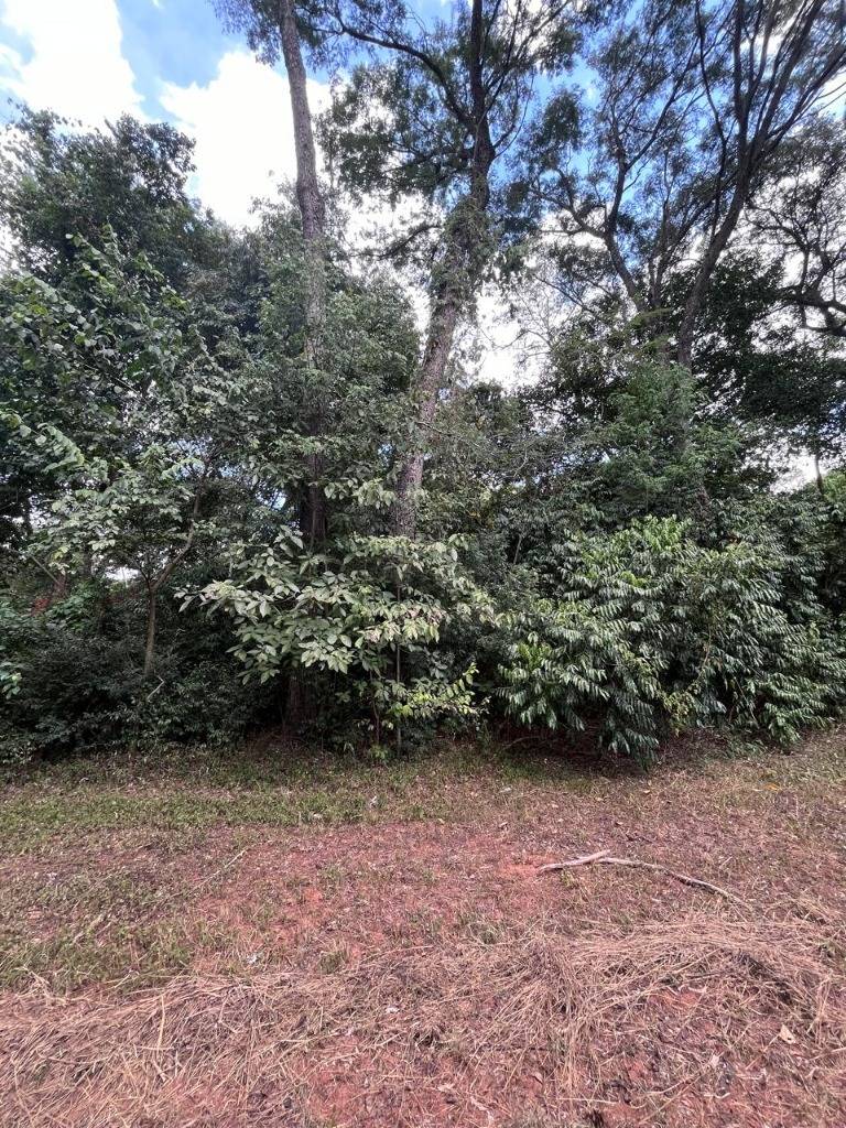 Venta Terreno en Altos - Cordillera — foto 2