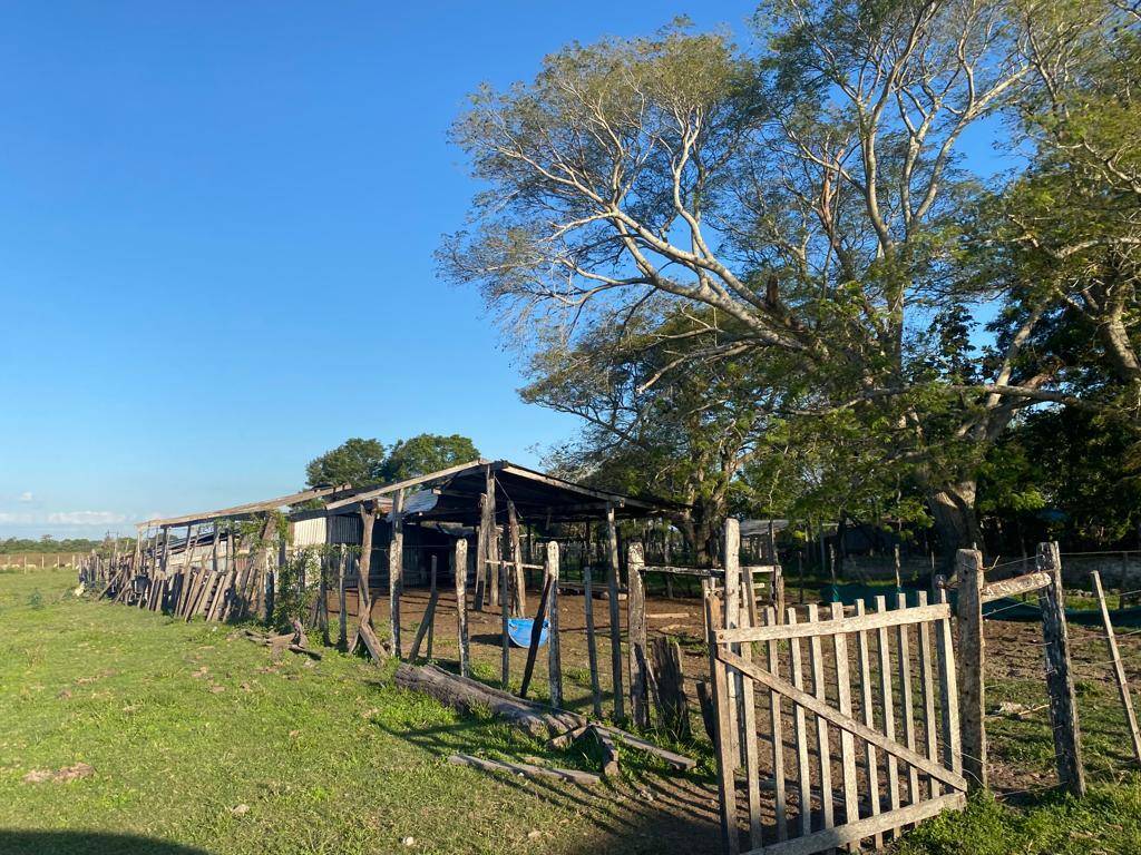 EN VENTA PROPIEDAD 4.197 Has. Distritos de San Juan Bautista, Ñeembucú. — foto 2