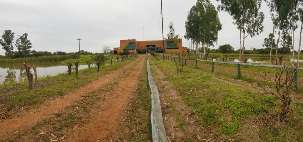 vendo  Fabrica La Pradera???? Sobre Ruta 9 (transchaco)  Con Aprox. 10 Has. — foto 3