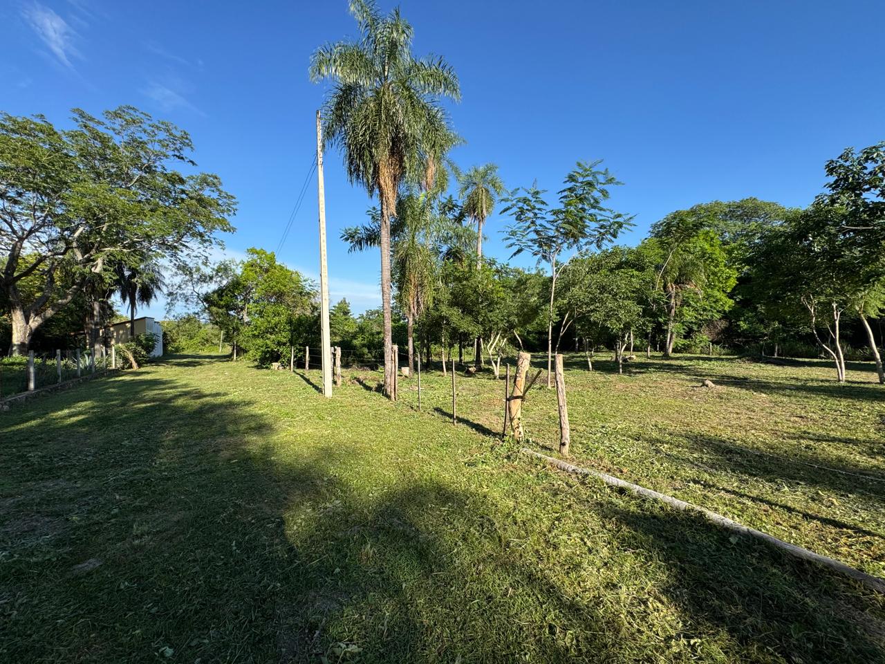 VENDO 2 TERRENOS EN SAN BERNARDINO - Ciervo Kua — foto 3