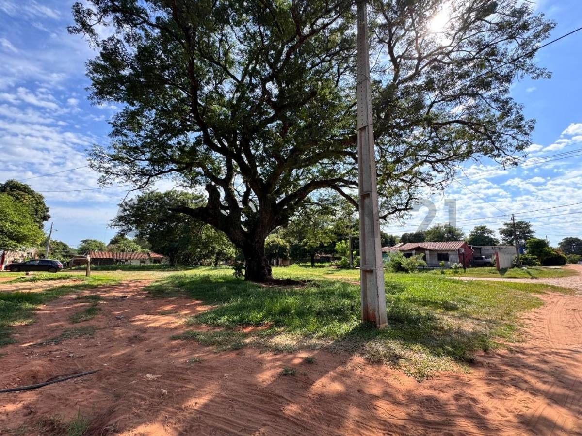 Terreno en venta en Luque — foto 2
