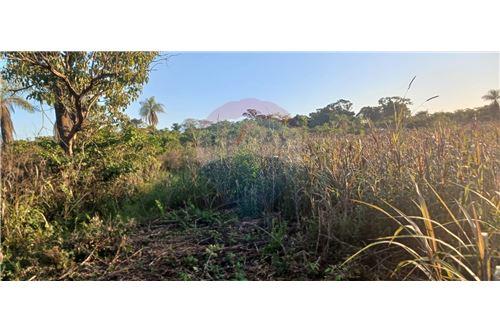 VENDO ESTANCIA P/ ENGORDE 35 HECTAREAS EN TOBATI — foto 3