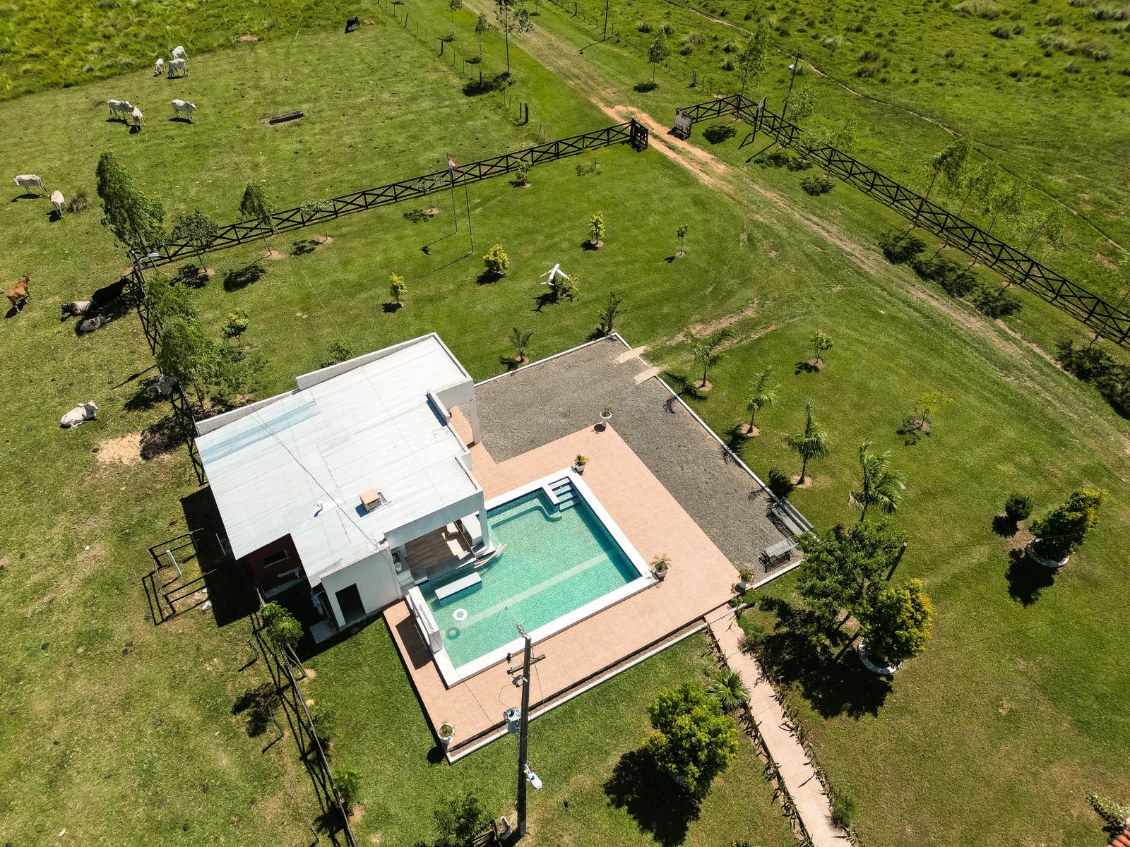 Vendo Granja de 100 ha en Isla Pucu - Cordillera — foto 2