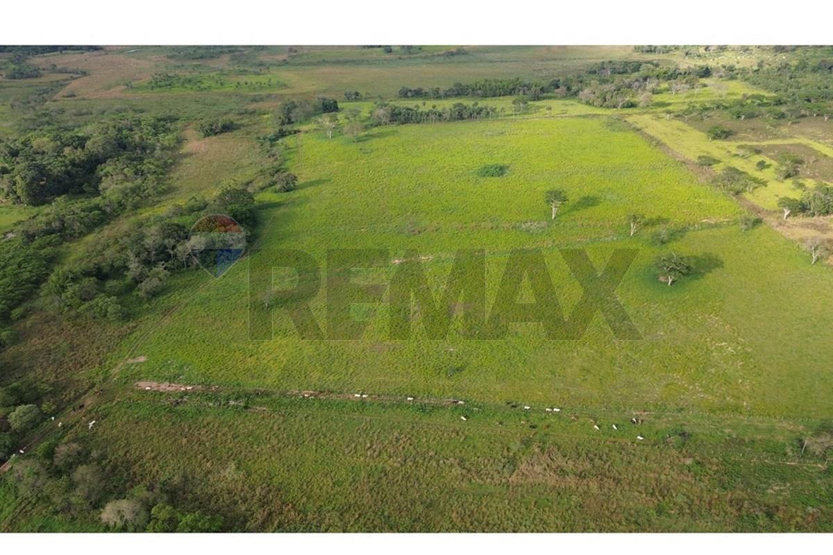 Estancia Ramonita de 368 hás. en Ybycuí — foto 3