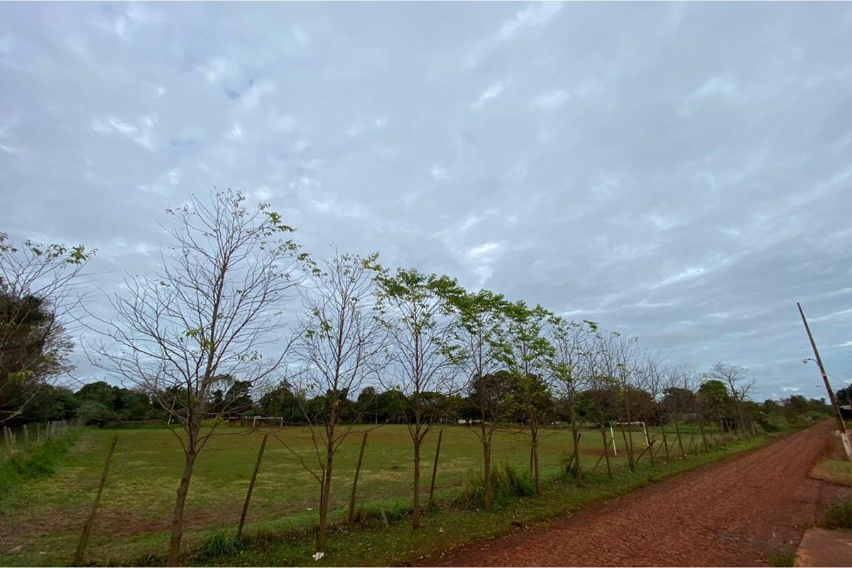 Terreno en venta 1 hectárea | Km 10 Acaray, Ciudad del Este. — foto 3