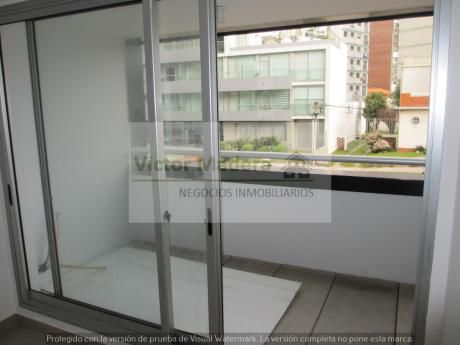 Alquiler Hermoso Monoambiente Malvin