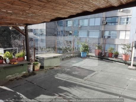 Alquiler Pocitos Con Patio