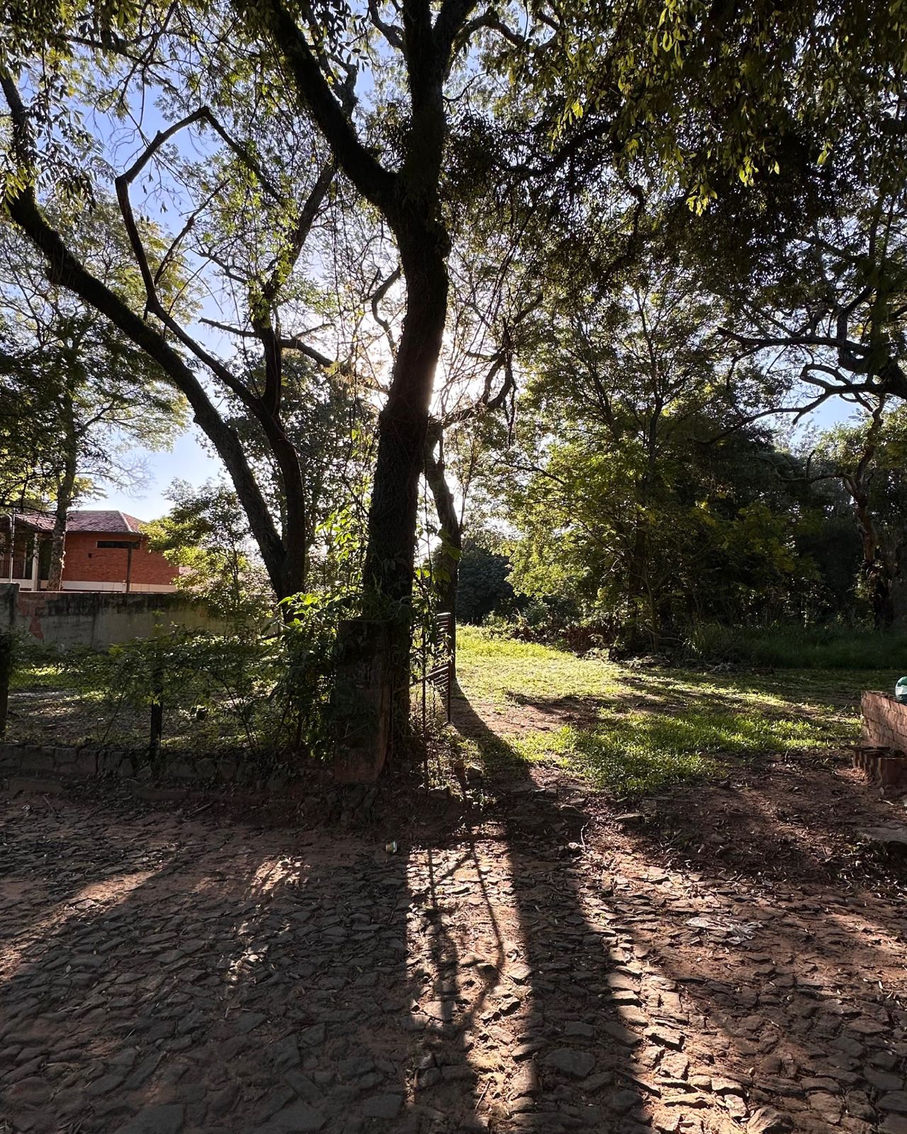 VENTA - TERRENO DE 1676 m2 EN SAN BERNARDINO — foto 3