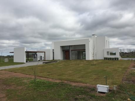 VIñedos. Excelente Lote Con Fondo Al Lago