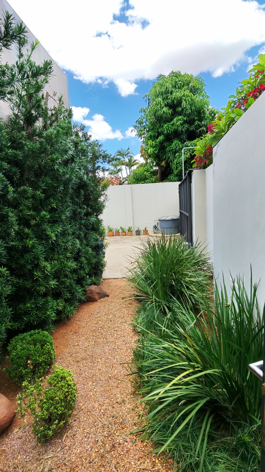 ¡ALQUILO HERMOSA Y MODERNA BOUTIQUE EN CERCANIAS DE AV. MCAL LOPEZ! — foto 3