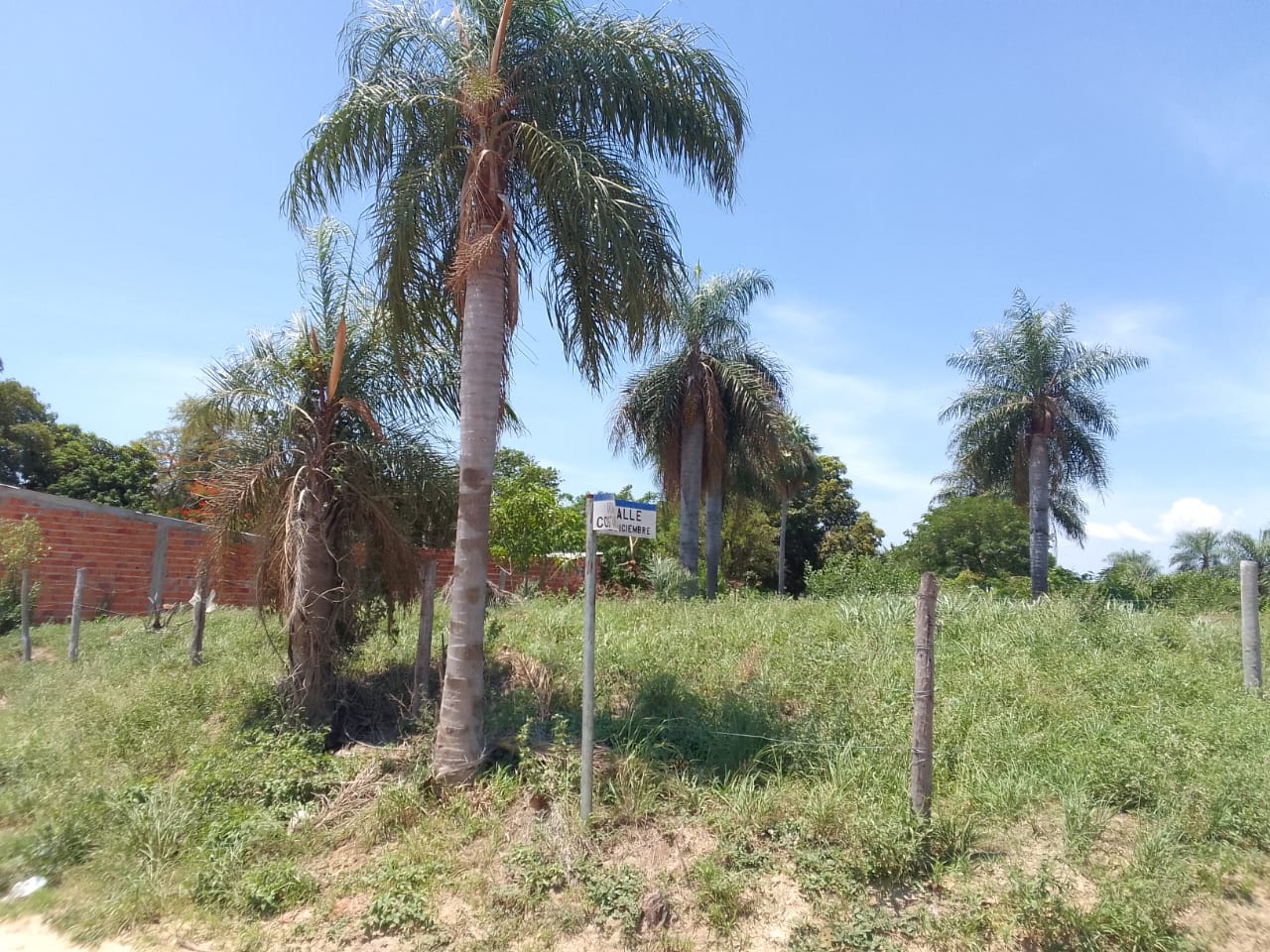 Terreno en venta en Alto Paraguay — foto 2