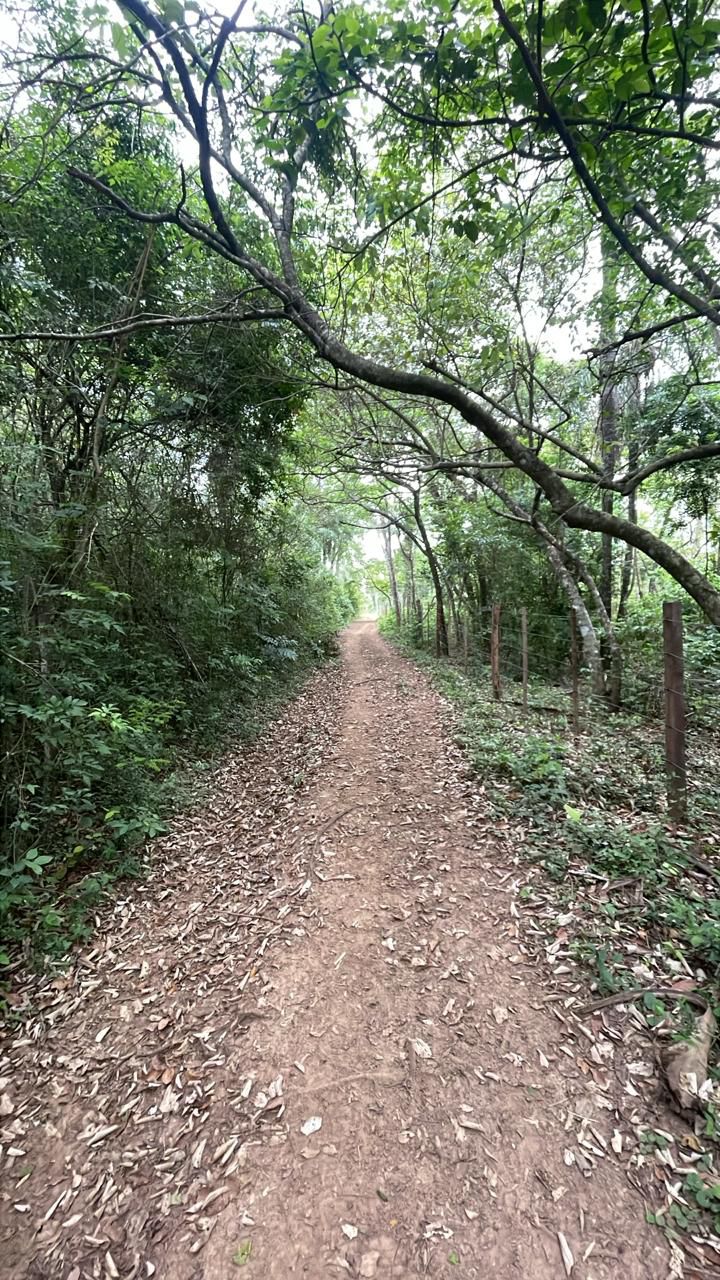 Vendo 4,2 hectáreas en Eusebio Ayala — foto 3