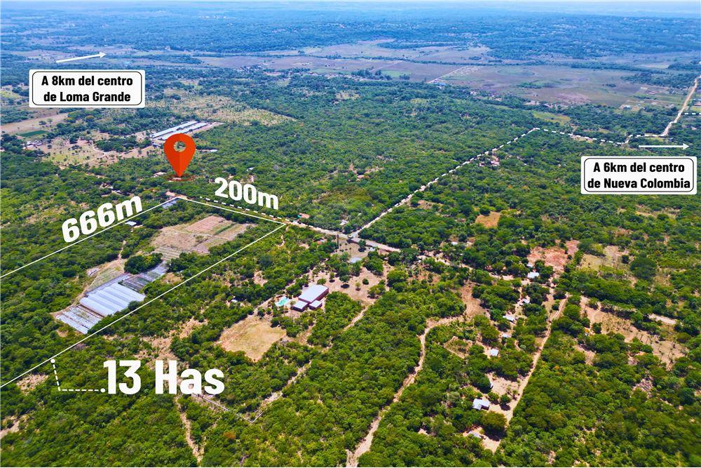 VENTA DE FINCA RURAL CON EXPLOTACION HORTICOLA — foto 3