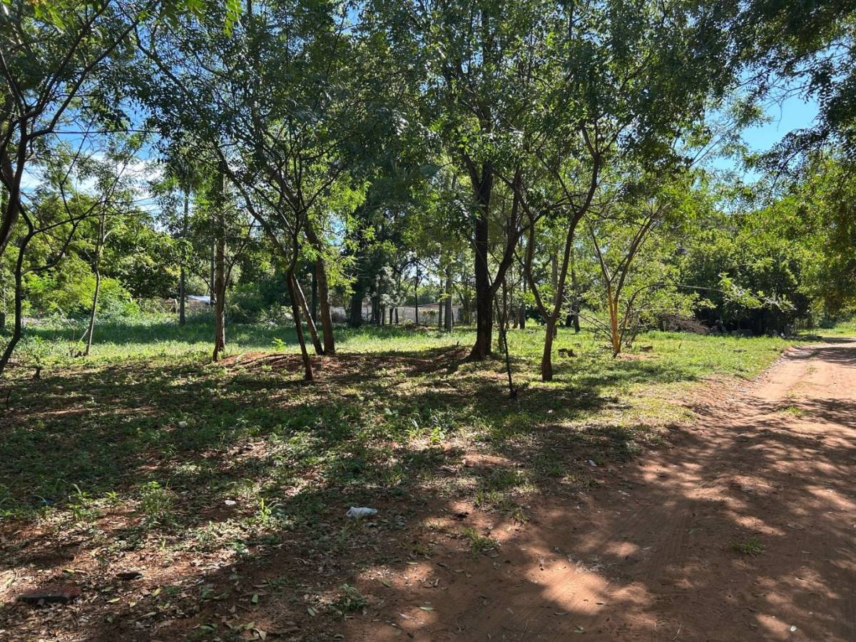 Mora Cue - Ruta Luque Limpio. 84.000 m2 sobre la avenida. Ideal para desarrollo inmobiliario — foto 3