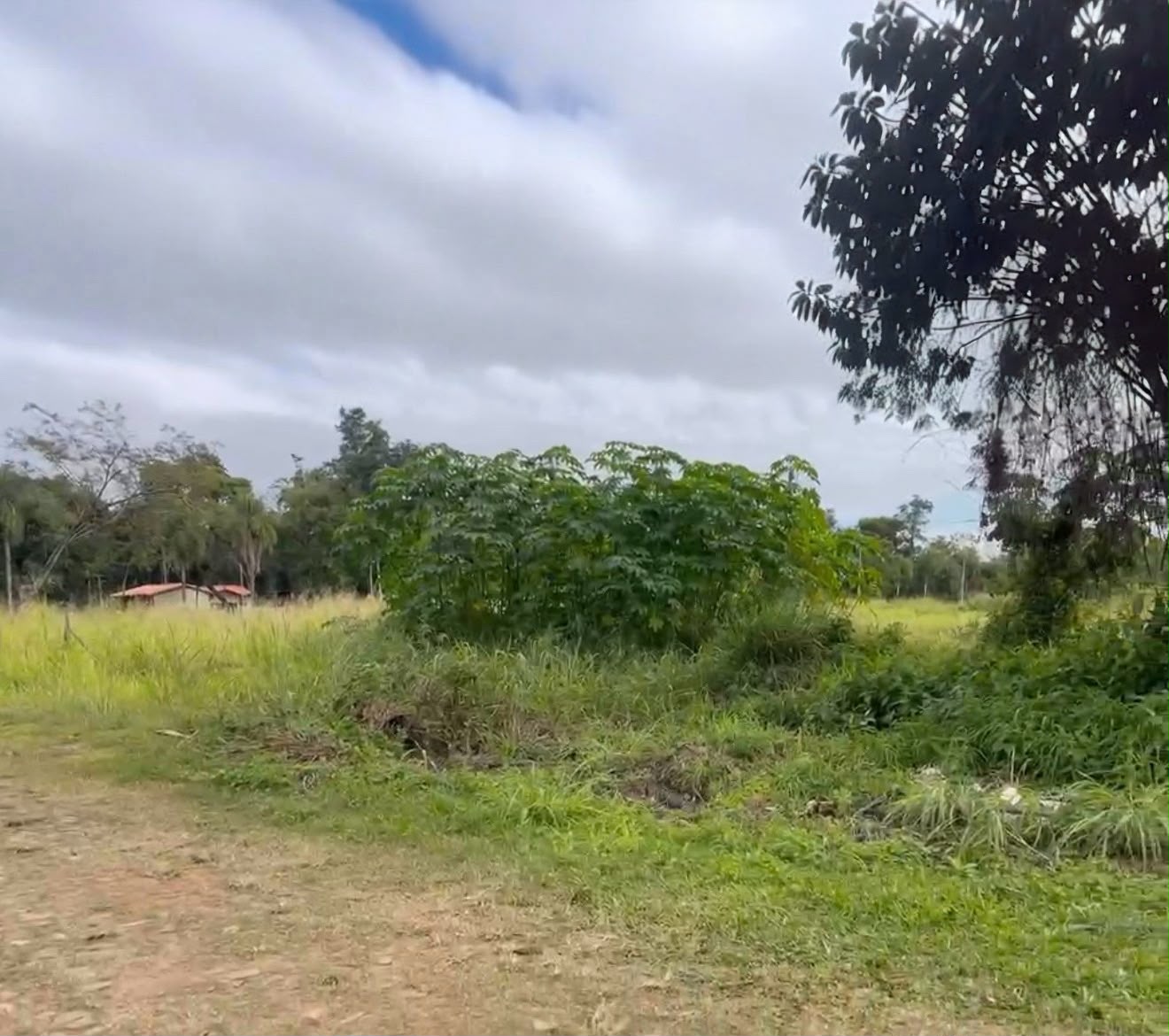 Oferta de 5 terrenos en Sanber. A 3 cuadras de la Avda. Guillermo Naumann - foto 4