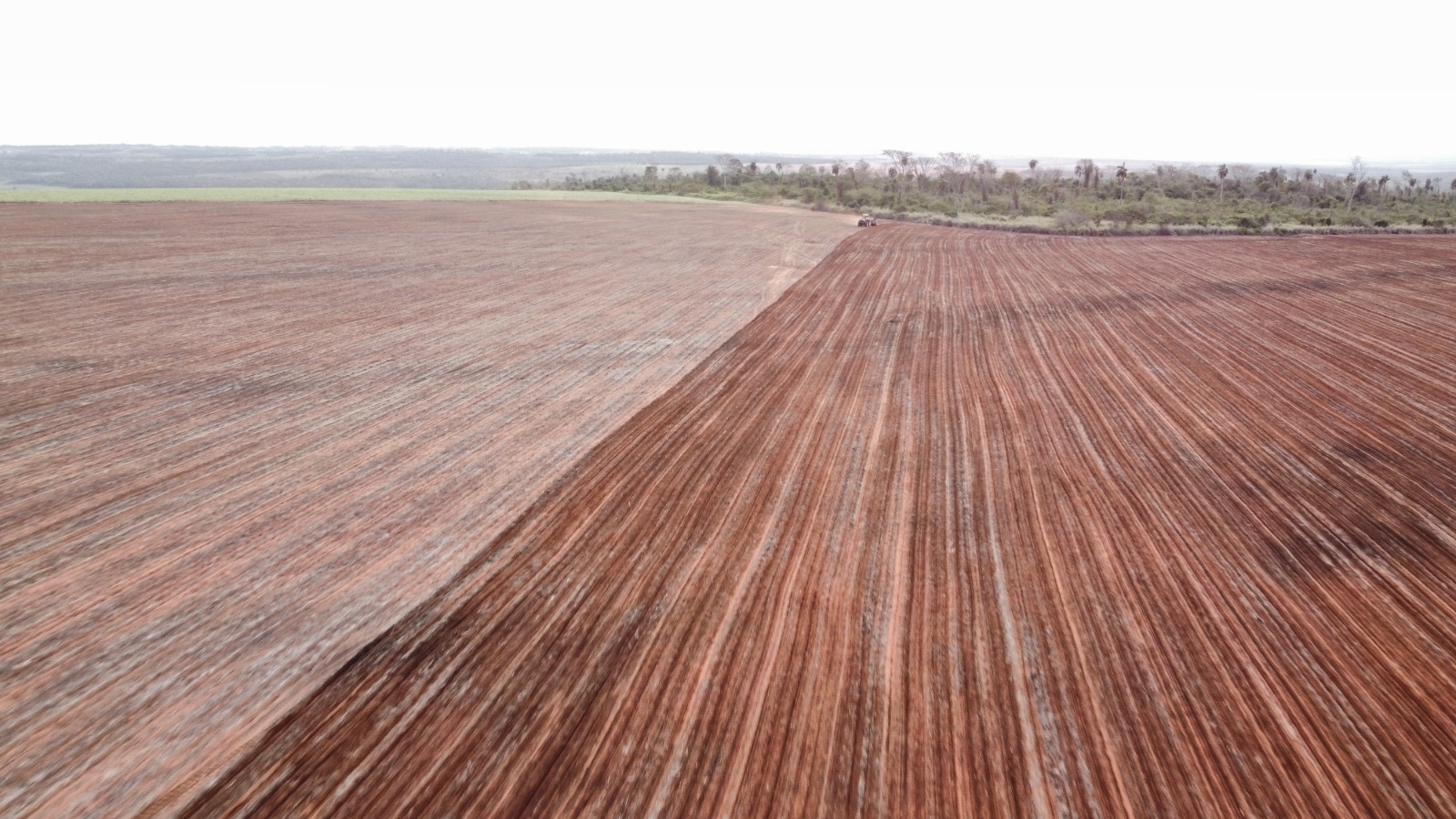 Vendo Campo en Curuguaty | 1.001 Ha Productivas | Desde Gs. 50 Millones/Ha — foto 3