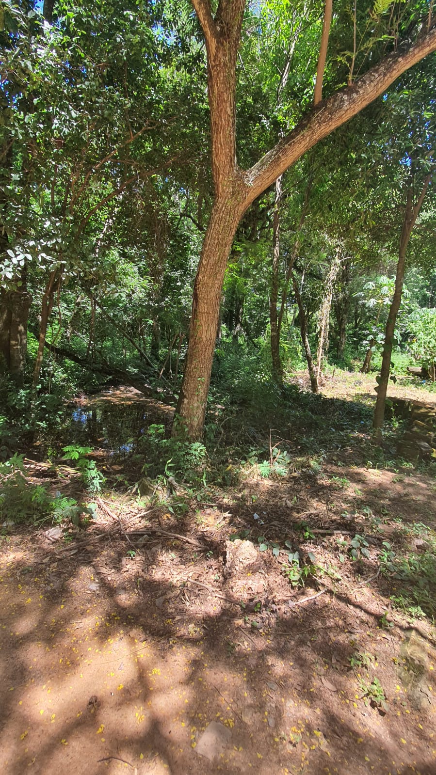 Vendo Terreno De 400 M2 En San Bernardino A 1 Cuadra De Cond Ayres — foto 2