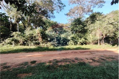 VENDO TERRENO EN EL CORTIJO — foto 3