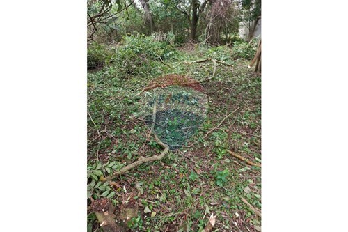 TERRENO EN VENTA, LA COLMENA — foto 3