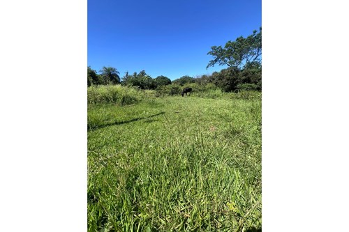 Terreno en venta en Raúl Arsenio Oviedo — foto 2