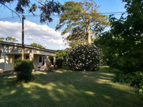 Casa 4 Dorm Con Gran Jardín Arbolado A Pasos De La Playa. 1300 M2 Terreno
