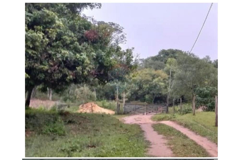 VENDO 5.8 HECTAREAS EN ALTOS ZONA DON PAPALO — foto 2